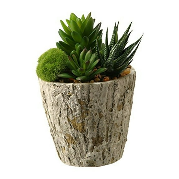 D&W Silks Aloe and Succulents in Weathered Oak Look Cement Planter