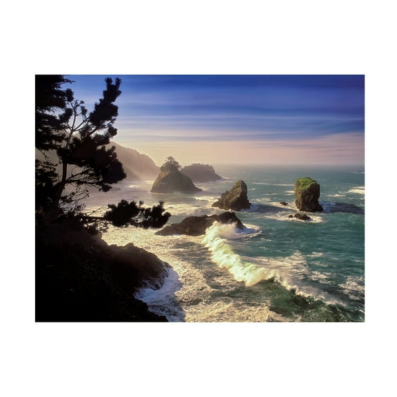 Dennis Frates 'Rocky Coast 2' Canvas Art