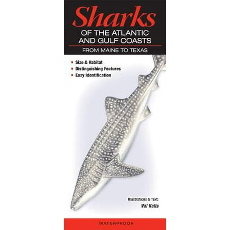 Sharks of the Atlantic and Gulf Coasts : From Maine to (Best Fishing Times Texas Gulf Coast)