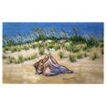 thumbnail image 1 of Betsy Drake DM1167G 30 x 50 in. Conch Found Door Mat, 1 of 1