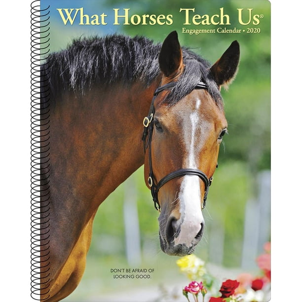 What Horses Teach Us 2020 Engagement Calendar (Other)