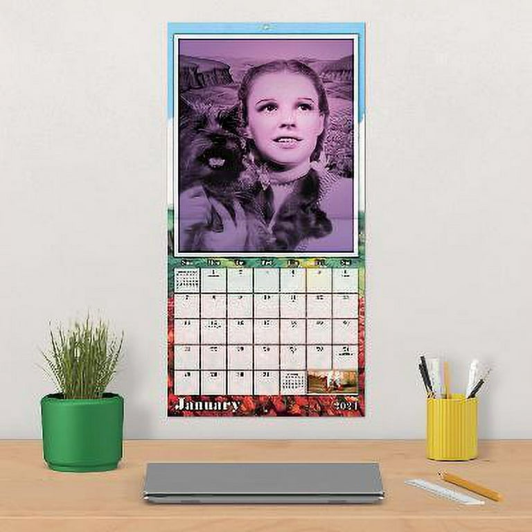 2024 Wizard Of Oz Desk Calendar - Charo DeeDee