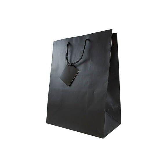 JAM PAPER Gift Bags with Rope Handles Large 10 x 13 x 5 Black Matte 3/Pack (673MABLA)