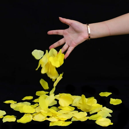 5000 PCS Silk Rose Petals Wedding Flower Decoration Artificial Red Rose Flower Petals for Wedding Party Favors Decoration and Vase Home Decor Wedding Bridal Decoration