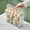 White#936, variant on cpengpj Eggs Container with Handle Eggs Stand for Refrigerator Door with Small Storage Box Kitchen Eggs Organizer for Cabinet Countertop