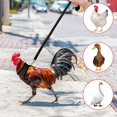 thumbnail image 2 of Arnés ajustable para gallinas con correa elástica cómoda y transpirable para mascotas (patos, gansos, gallinas) para caminar. Talla M., 2 of 5