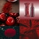 thumbnail image 5 of Color Me Dark Red Milton Lloyd Perfume EDP para Mujer 50 ml, 5 of 9