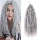 thumbnail image 2 of Trenzas Brasileñas De 18 Pulgadas Sintéticas Grises Largas Rizadas De Ganchillo Trenzado Cabello Ombre Extensiones De Para Mujeres, 2 of 4