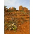 thumbnail image 2 of Grayscale 12x14 White Modern Wood Framed Museum Art Print Titled - Sedona II, 2 of 4