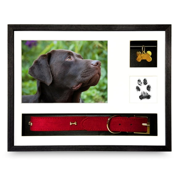 Havenae Dog Shadow Box Memorial Frame | Meaningful Pet Memorial Gifts for Dogs | Dog Bereavement Gifts with Unique Tag Slider, Fits All Collars