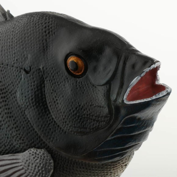 serony Jouet Réaliste de Vie Animale Océanique Statique Figurines d'Animaux Marins Réalistes Modèle Océan Jouet Cadeau pour Enfants