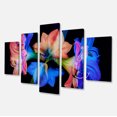 thumbnail image 2 of Abstract Blue Red Flower on Black - Extra Large Floral Wall Art, 2 of 3