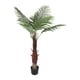 thumbnail image 5 of Palmera con luz artificial, cocotero con luz LED de 90 cm y 3 pies con luz LED, resultados impresionantes, 5 of 8