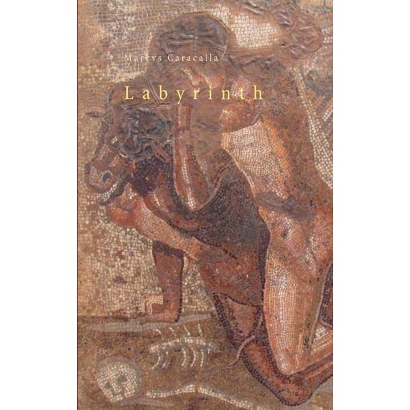 Labyrinth (Paperback)