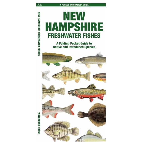 Nature Observation North America New Hampshire Freshwater Fishes, (Paperback)