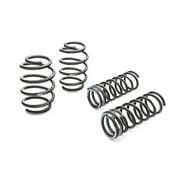 Eibach Springs 2873.140 Coil Spring Lowering Kit For 05-10 300 Magnum