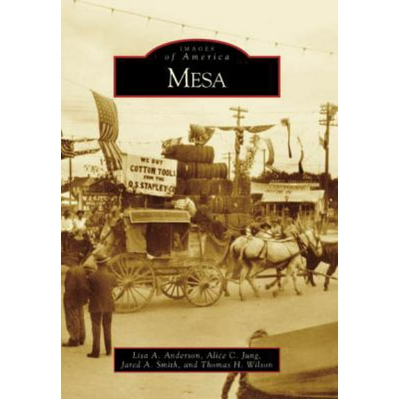 Pre-Owned Mesa (Paperback) 0738548421 9780738548425