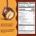 thumbnail image 2 of Nutic Double Dipped Milk Chocolate Covered Peanuts - 2LB, Roasted Crunch, Two Layers of Milk Chocolate, Melts on Tongue, Ideal for Weddings & Holidays, Sweet Nutty Treat - (Pack of 1), 2 of 6