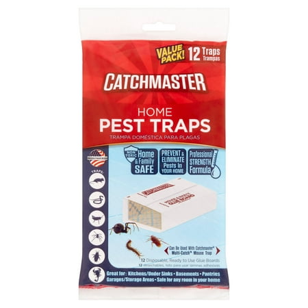 Catchmaster Value Pack! Home Pest Traps, 12 count (Best Way To Kill Gnats)