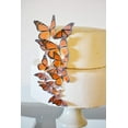 thumbnail image 2 of Edible Butterflies Assorted Size Premium Crafted Made in the USA - Cake and Cupcake Toppers, Decoration (Orange Monarch), 2 of 6