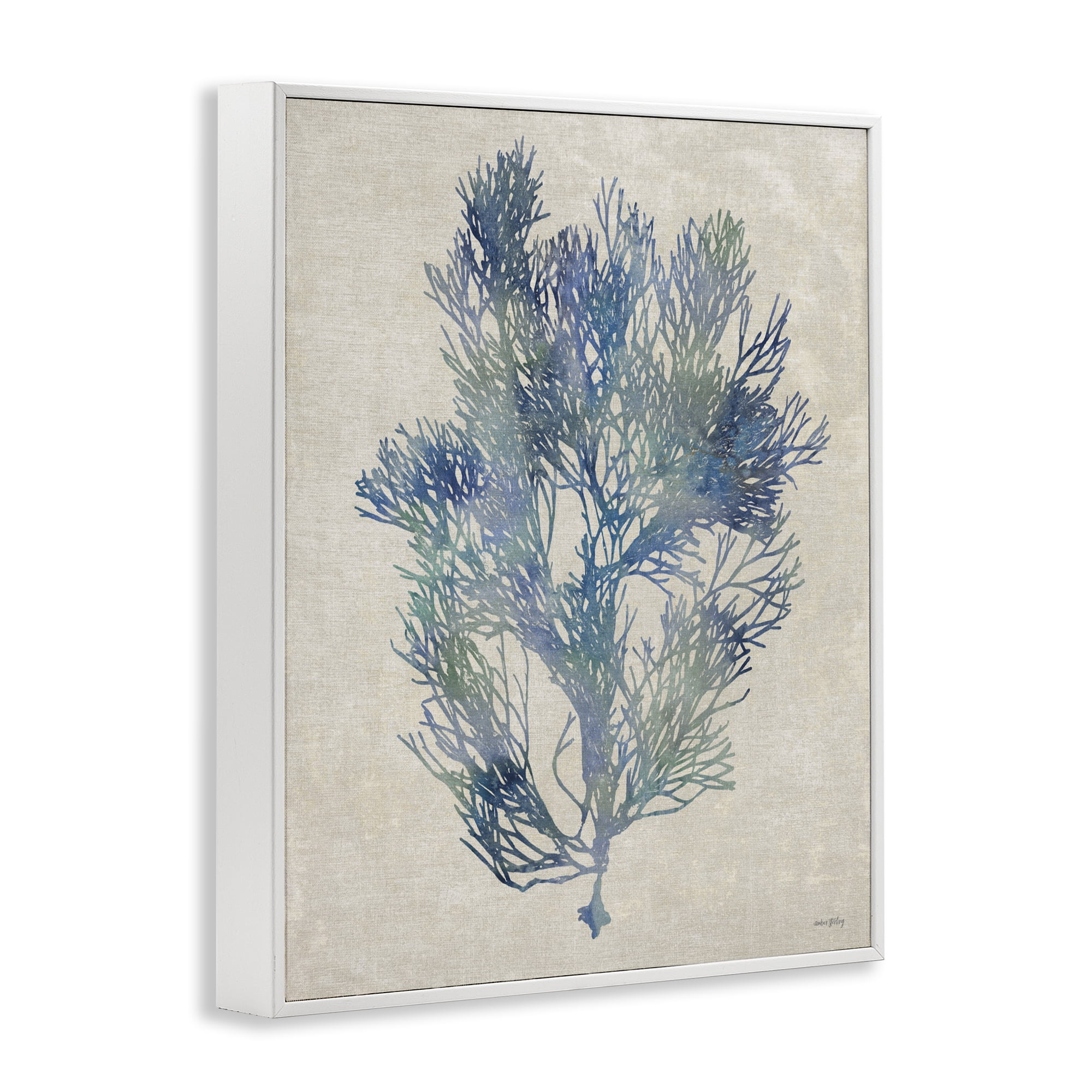 Stupell Industries Misty Blue Coral Study White Framed Giclee Art, design by Amber Sterling