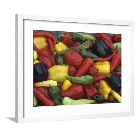 A Variety of Heirloom Sweet Peppers Framed Print Wall Art By David