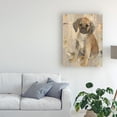 thumbnail image 3 of Trademark Fine Art 'Paco' Canvas Art by Albena Hristova, 3 of 3