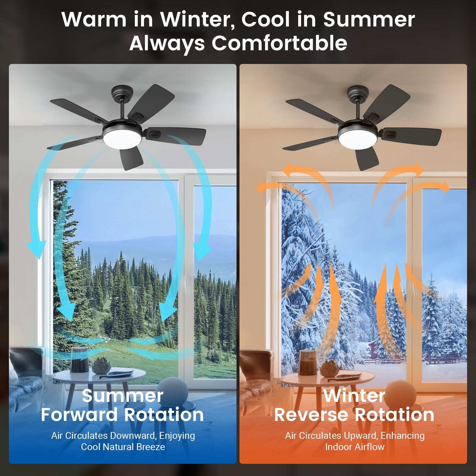 BLITZWILL Ceiling Fans with Lights and Remote & App Control, 42" Modern Ceiling Fan with 5 Dual-sided Blades, 6-Speeds Noiseless Reversible DC Motor for Farmhouse Bedroom Indoor, Black