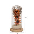 thumbnail image 5 of Flower Glass Cover Dried Flower Sesame Flower Home Desktop Decoration Led Night Light Gift, 5 of 5
