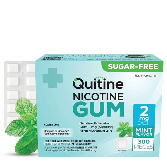 Quitine Nicotine Gum 2mg Classic Mint, 300 Count, Stop Smoking Aid