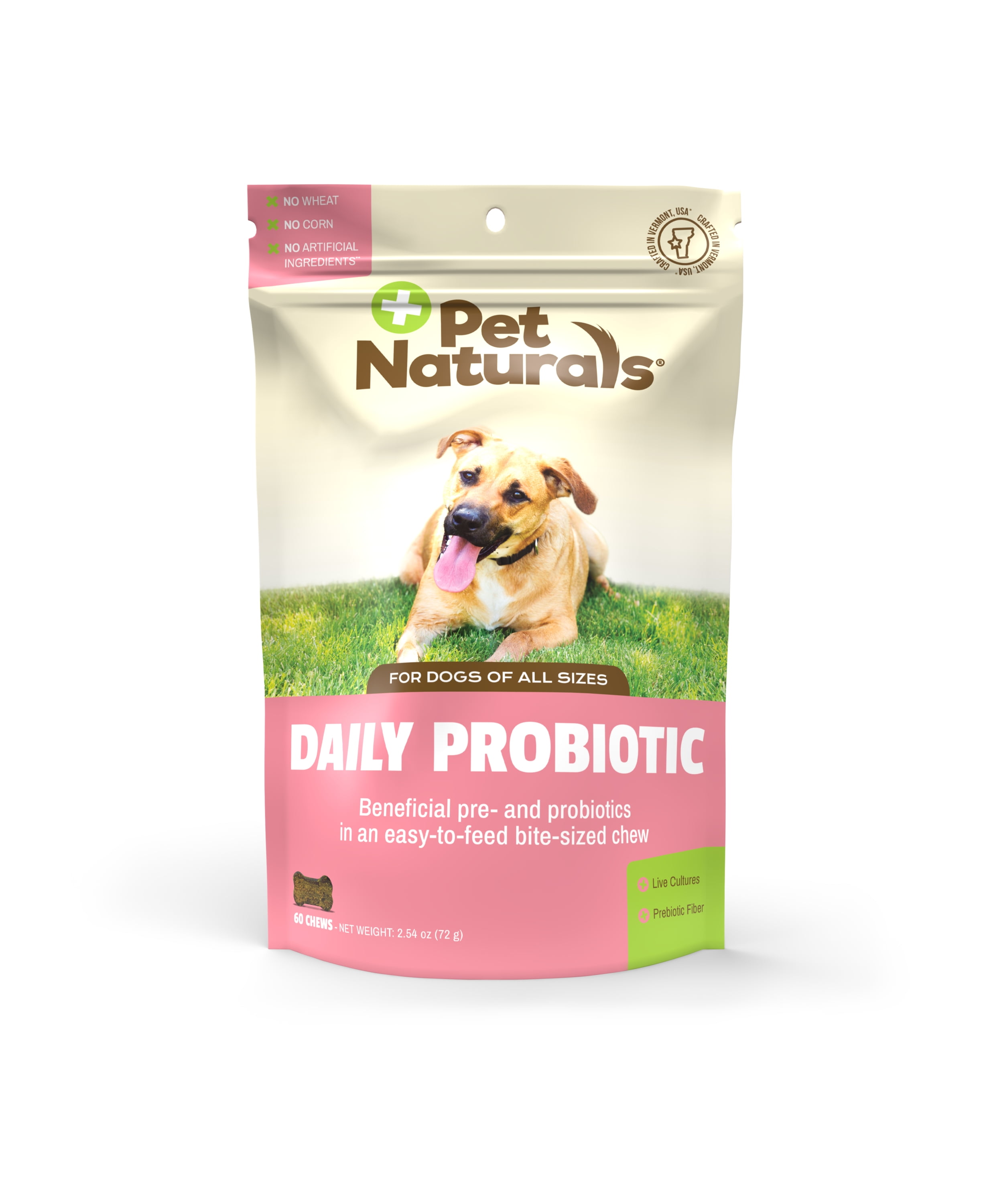 Which Probiotic Is Best For My Dog