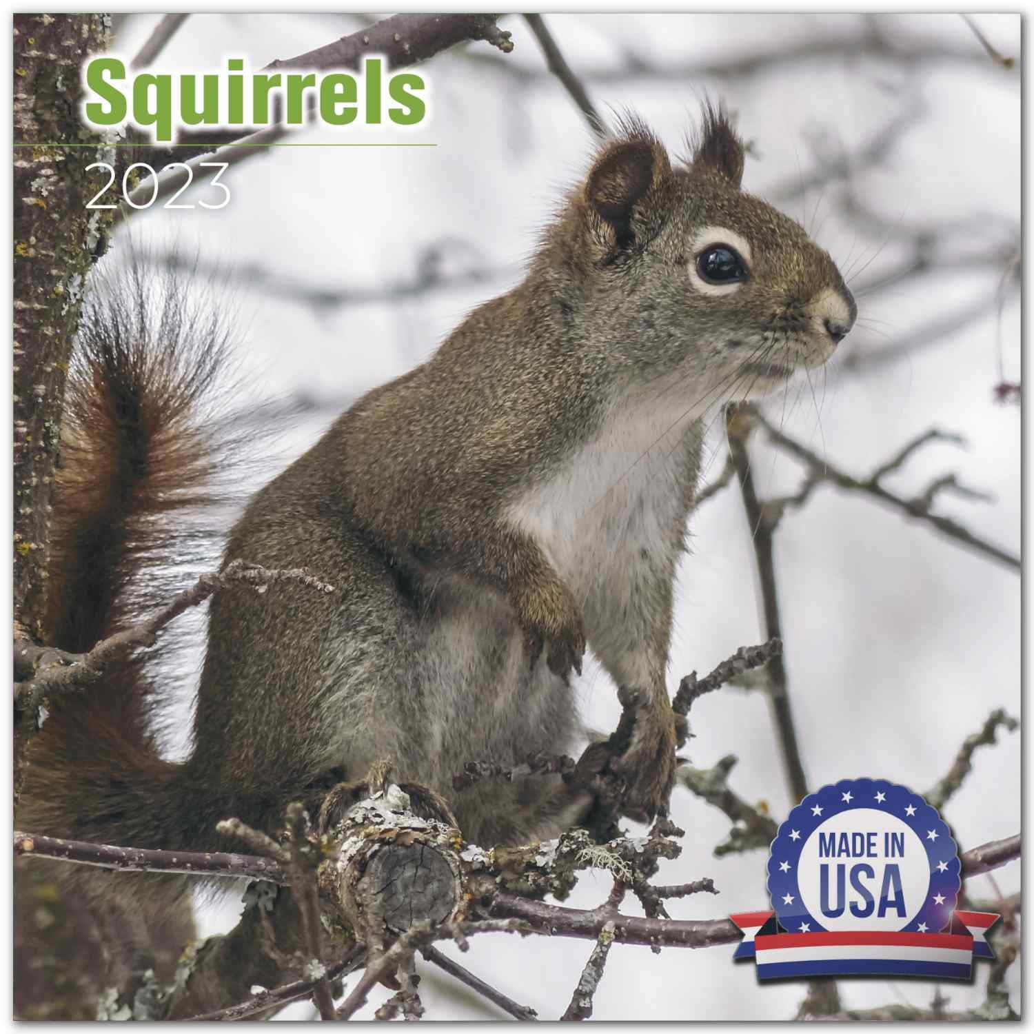 2022 2023 Squirrels Calendar - Cute Wildlife Monthly Wall Calendar - 12 x 24 Open - Thick No-Bleed Paper - Giftable - Academic Teacher's Planner Calendar Organizing & Planning - Made in USA