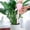 Pink, variant on VVQ Automatic Watering Drip Irrigation Device, Adjustable Uninterrupted Rate Watering Device with Infiltration for Potted, Slow Drip Waterer for Indoor Garden Balcony Tabletop, Green