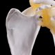 thumbnail image 5 of Esqueleto de anatomía humana de tamaño real anatómico funcional, articulación del hombro, modelo de músculo óseo para herramienta de estudio de enseñanza, 5 of 5