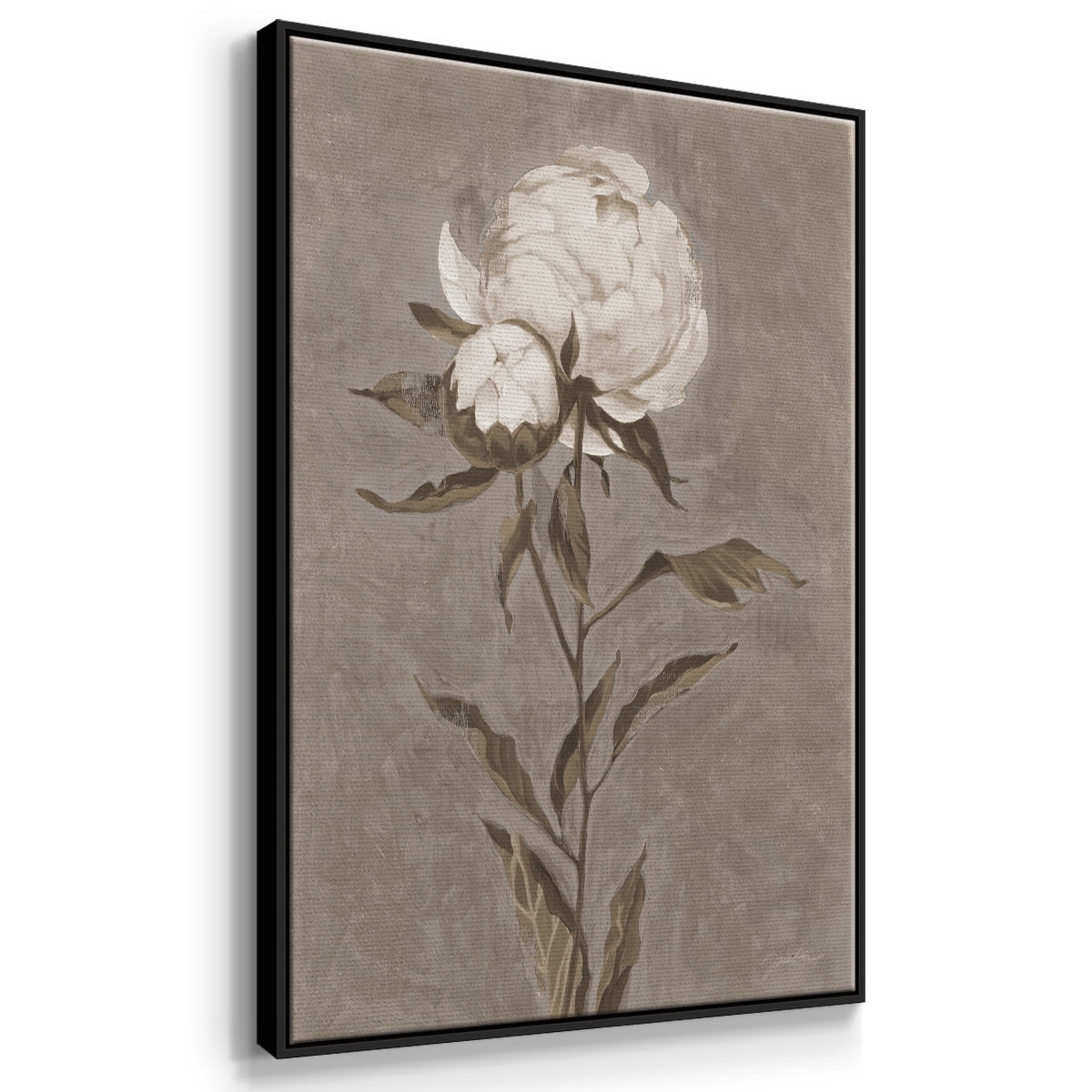 Pretty as a Peony II Framed Premium Gallery Wrapped Canvas - Ready to Hang - 25 x 37 - Black Floating Frame