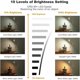 thumbnail image 3 of Clip On Lamp Liseuse 3 Modes De Couleur 3000-6500k 10 Luminosit Dimmable 360 ​​Flexible Col De Cygne Led Lampe De Bureau Avec Pince Protection Des Y, 3 of 5