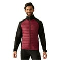thumbnail image 4 of Regatta Veste Hybride Clumber pour Hommes, 4 of 6