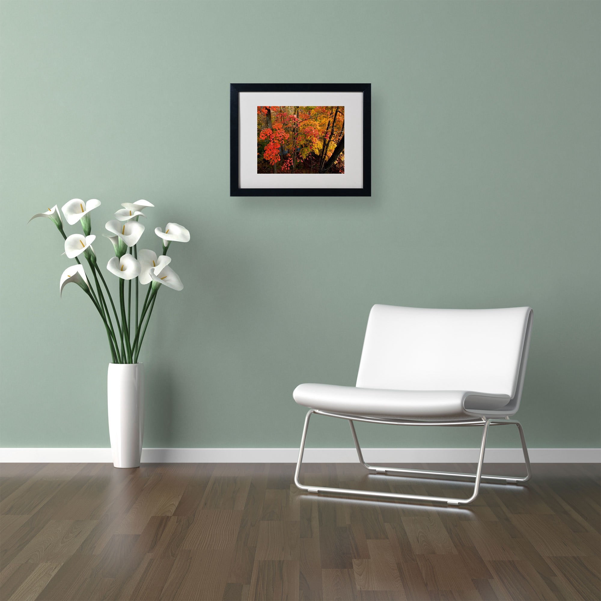 Trademark Fine Art "Brilliant Autumn Forest" Canvas Art by Kurt Shaffer, Wood Frame