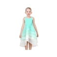 thumbnail image 3 of Girls Dress Turquoise Gradient Zigzag Hi-lo Layer Princess Backless Party 5 Years, 3 of 8