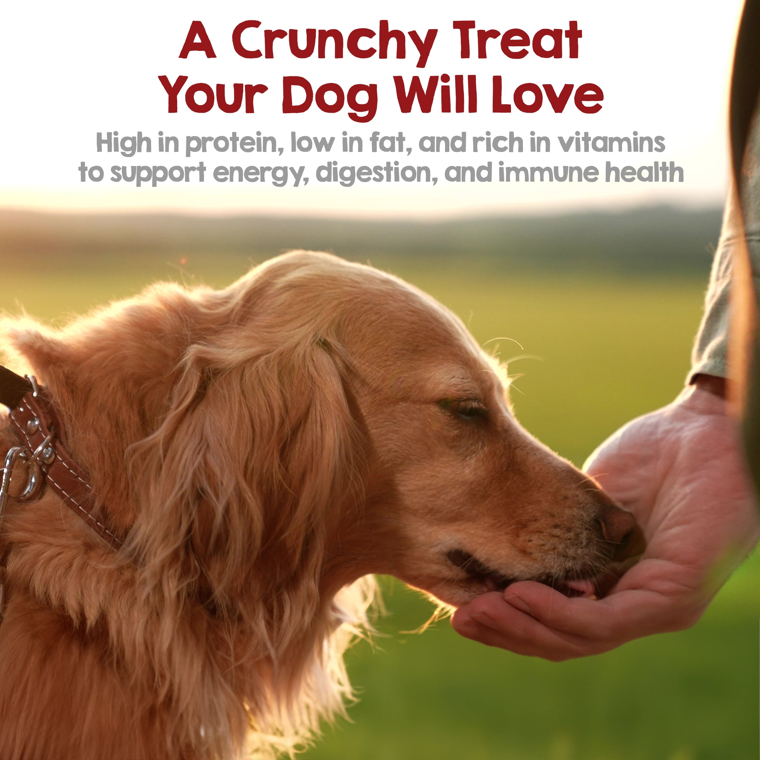 Riley's Chicken and Carrots Waffle Chips Dog Treats- USA Sourced Chicken Dog Treats, Limited Ingredient Dog Treats, Dehydrated Jerky Treats Made in USA