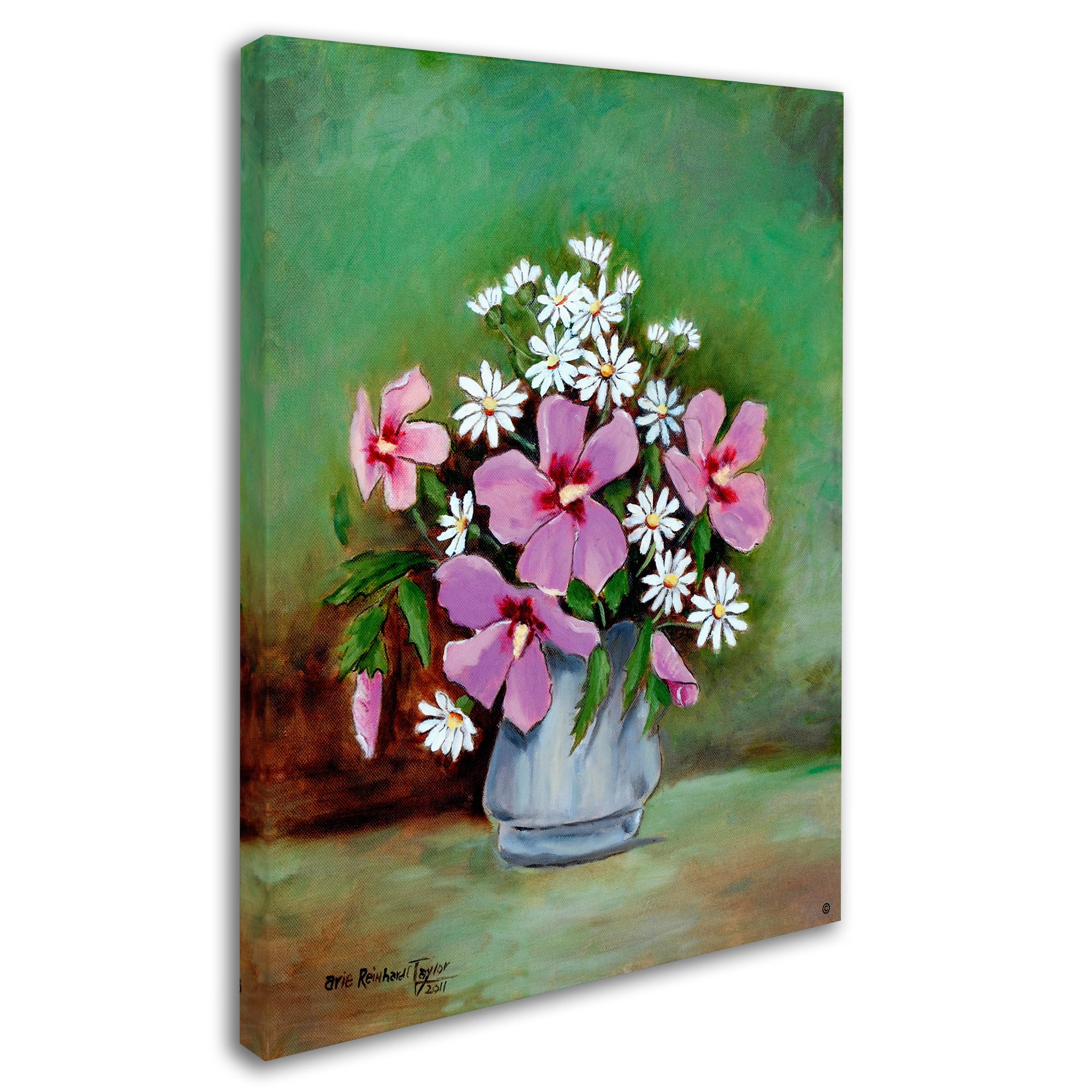 Trademark Fine Art 'Hibiscus And Daisies' Canvas Art by Arie Reinhardt Taylor