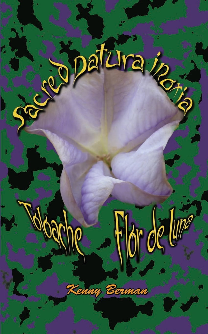 Sacred Datura Inoxia Toloache Flor De Luna Paperback Walmart Com Walmart Com