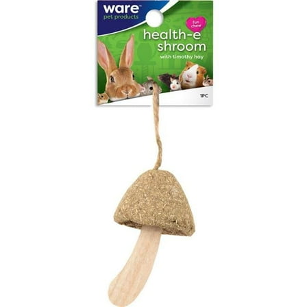 13092 Health-E Schroom Chew Toy for Small Pets - Quantity 1