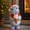 4#Christmas Decorations, variant on Clearance! Halloween Decorations, Ghost Highland Cow Resin Figurine Holding Pumpkin Bucket, Cute Spooky Tabletop Mantel Shelf Home Halloween Party Decor,3.9"