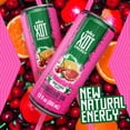 thumbnail image 5 of Jumex XOT - Fruit Punch, Flavored Carbonated Energy Drink, 12 Pack, 12 Fl Oz, 5 of 7
