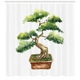 thumbnail image 3 of Ambesonne Garden Shower Curtain, Watercolor Bonsai Hand Drawn, 69"Wx75"L, Pale Brown Green, 3 of 3