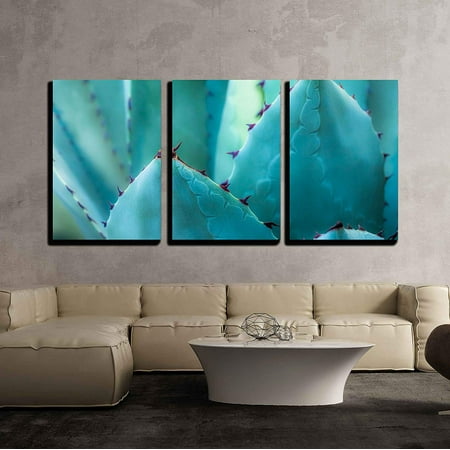 Amare Wall - wall26 - 3 Piece Canvas Wall Art - Sharp Pointed Agave Plant Leaves Bunched Together - Modern Home Decor Stretched and Framed Ready to Hang - 24