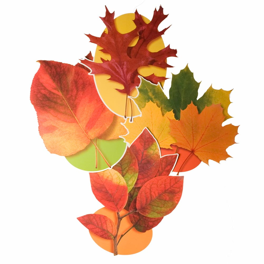 Autumn Leaf Cutouts - Walmart.com