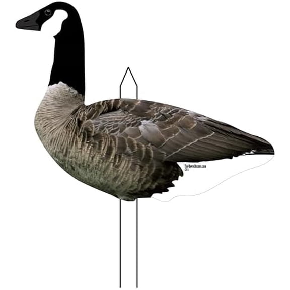 Vertical Silhouette Canada Goose Decoy CV246-12 Pack$$Other