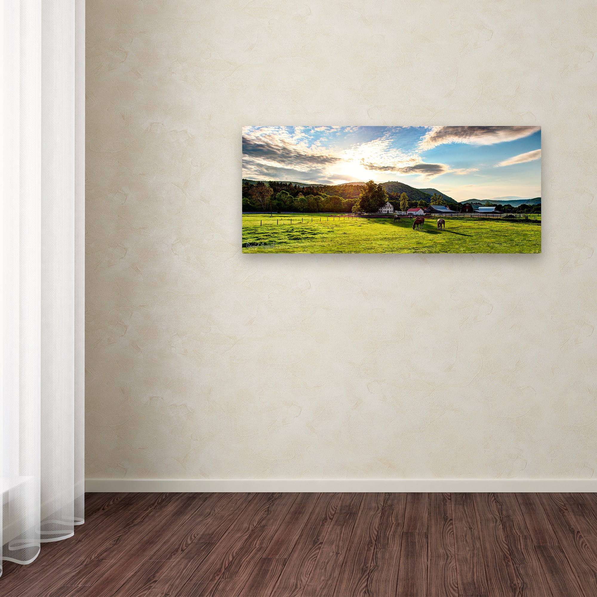 Trademark Fine Art ''Serene Sunset - Vermont'' by David Ayash 8" x 19" Canvas Art (MA0641-C819GG)